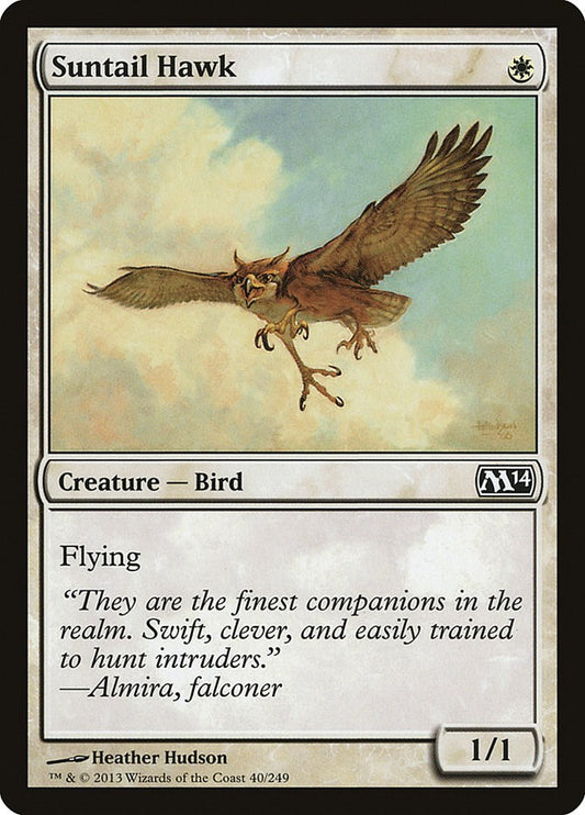 Suntail Hawk [M14 - 40]